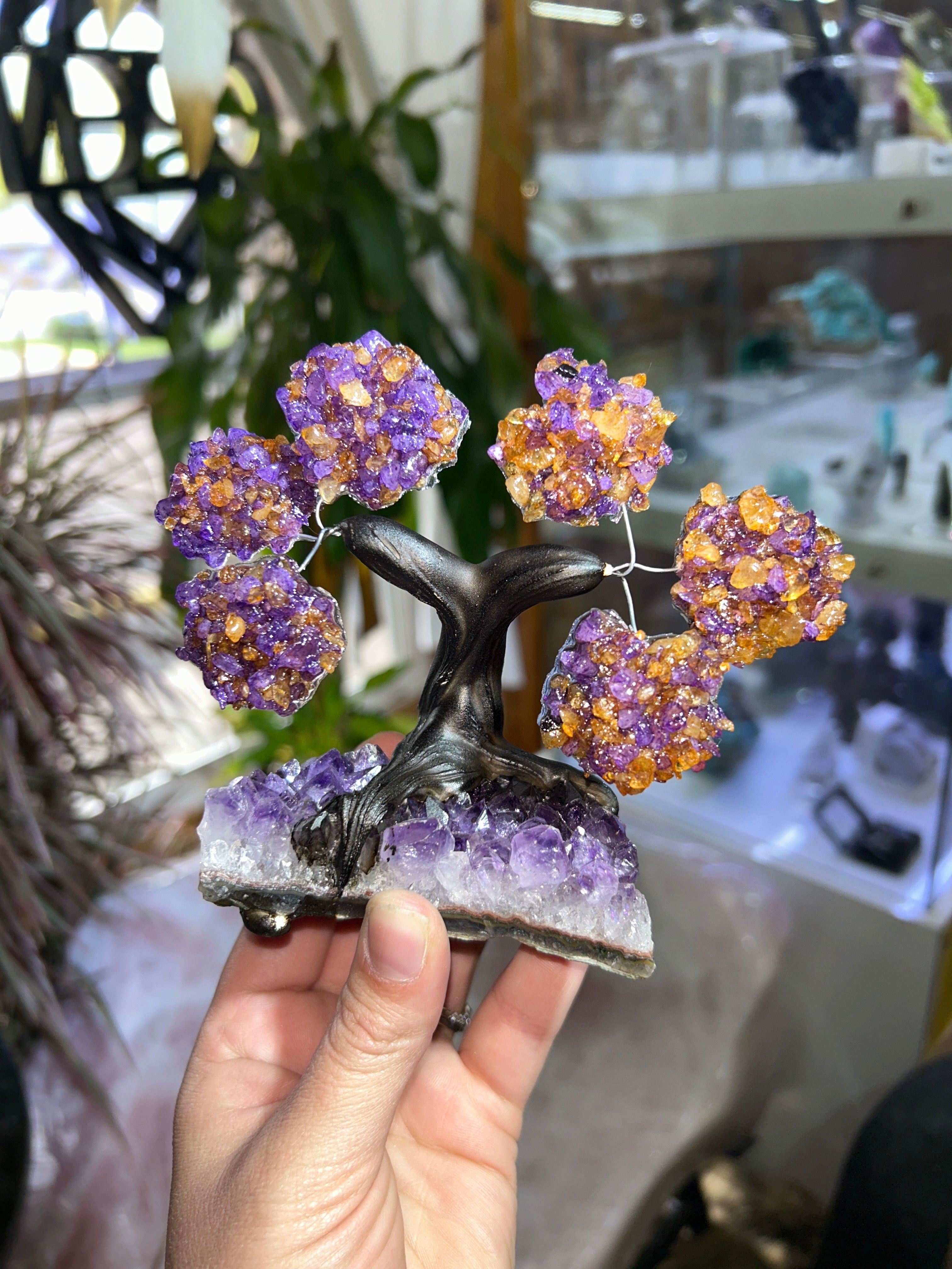 Amethyst Tree Mountain Mineral Market